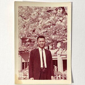 Vintage 1964 Japan HANDSOME MAN Asian Male Photo Sakura Cherry Blossom Tokyo